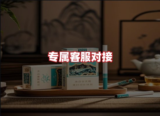 专业团队